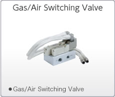 Gas/Air Switching Valve